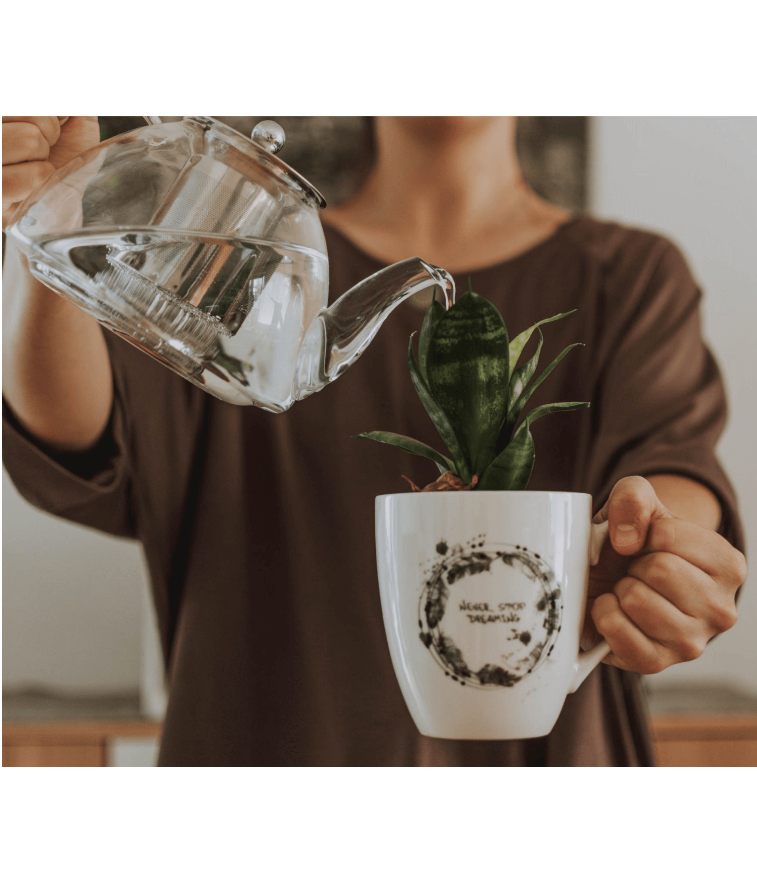 Descubre la importancia de regar plantas con agua filtrada