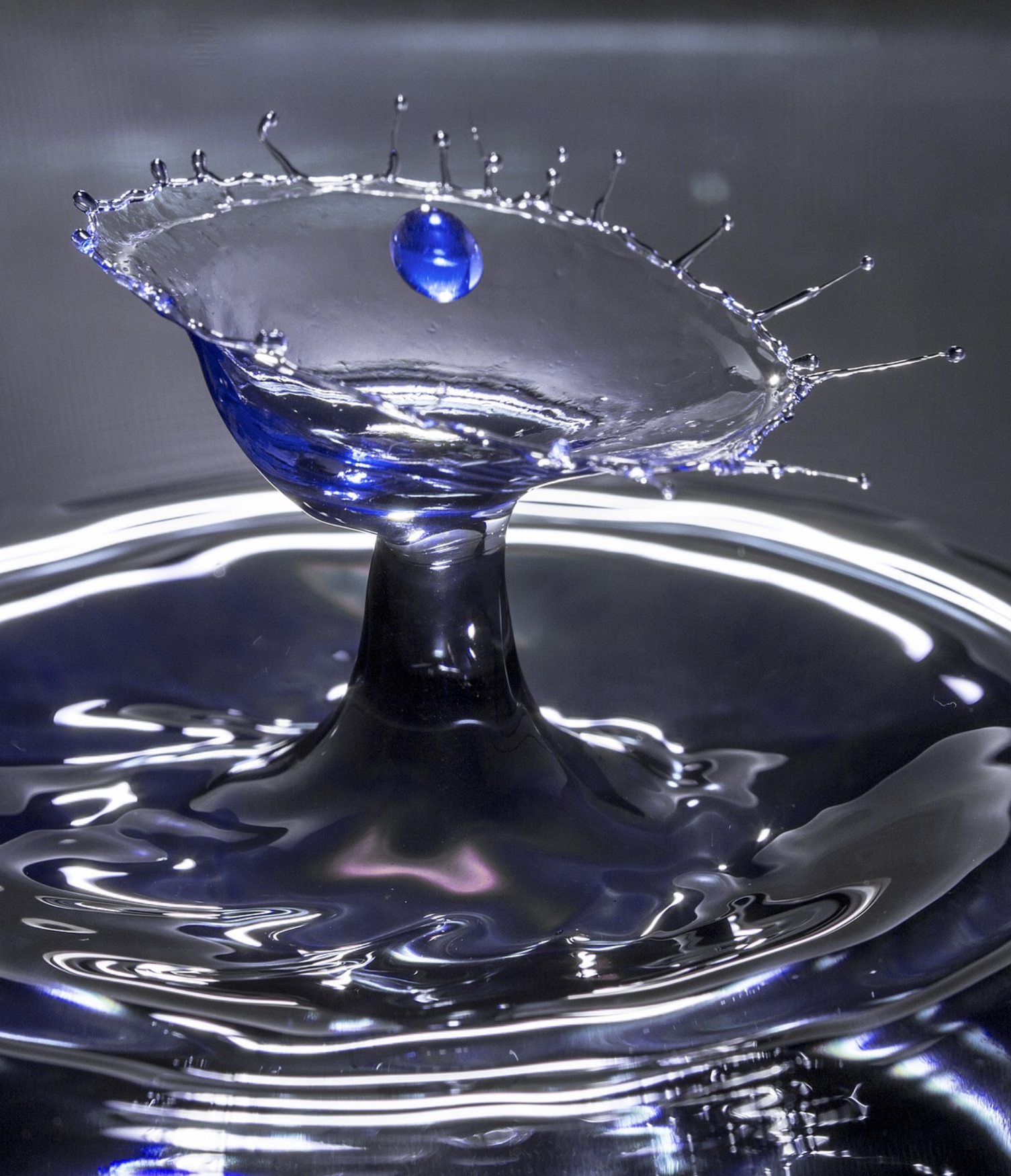 Diferencia entre osmosis directa y osmosis inversa